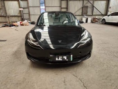 20年特斯拉MODEL Y中型车