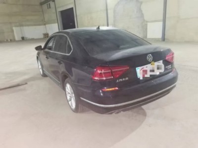 19年大众帕萨特中型车