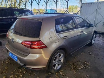 16年大众高尔夫中型车