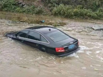 08年奥迪奥迪A6小型车