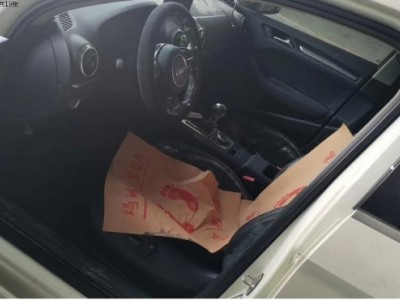 15年奥迪奥迪A3中型车