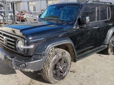 22年长城坦克300SUV
