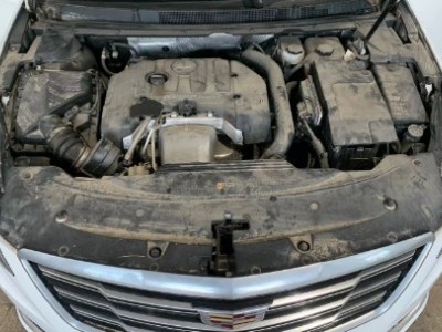19年凯迪拉克凯迪拉克XTS小型车