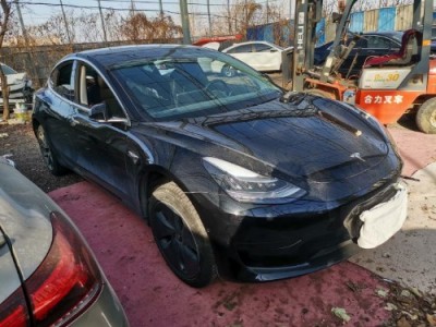 20年特斯拉MODEL 3中型车