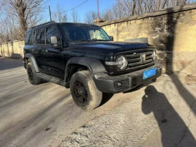 22年长城坦克300SUV
