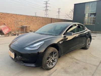 20年特斯拉MODEL 3中型车