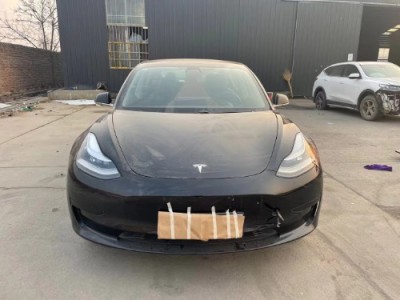 20年特斯拉MODEL 3中型车