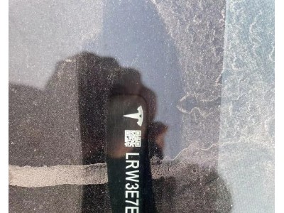 20年特斯拉MODEL 3中型车