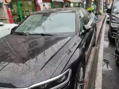 18年大众辉昂中型车