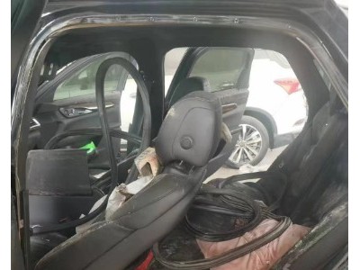 年凯迪拉克凯迪拉克CT6中型车