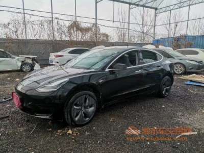 20年特斯拉MODEL 3中型车