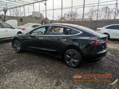 20年特斯拉MODEL 3中型车