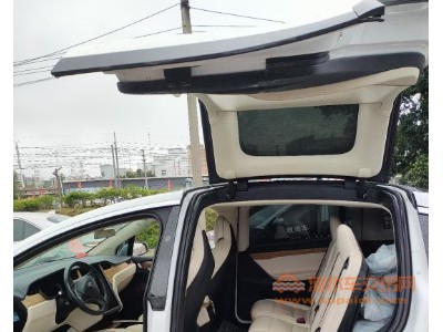 19年特斯拉MODEL X中型车