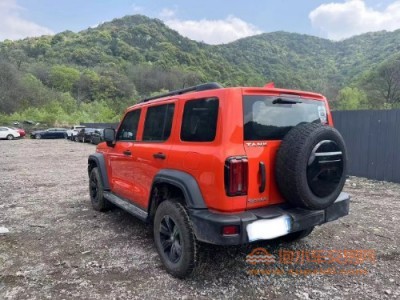 22年长城坦克300SUV
