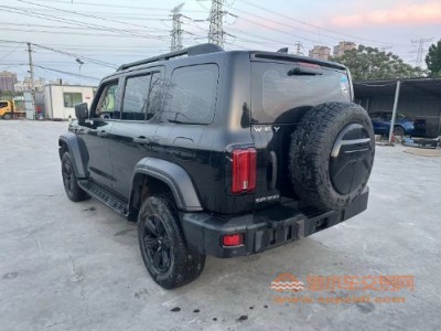 21年长城坦克300SUV