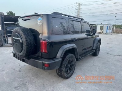 21年长城坦克300SUV