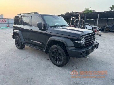 21年长城坦克300SUV