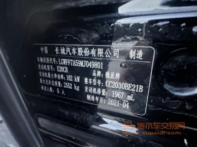 21年长城坦克300SUV