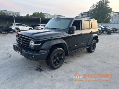21年长城坦克300SUV