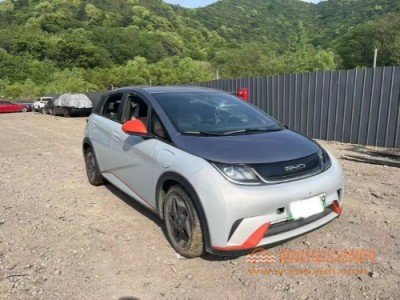 21年比亚迪海豚中型车