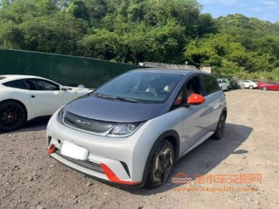 21年比亚迪海豚中型车
