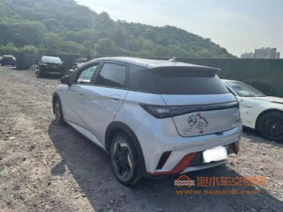 21年比亚迪海豚中型车