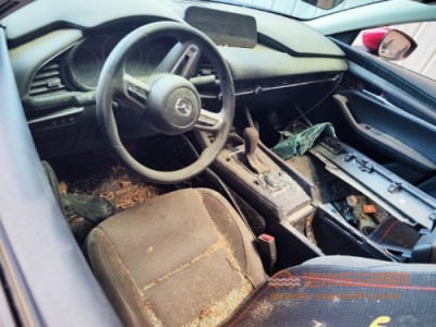 20年马自达马自达3 昂克赛拉中型车