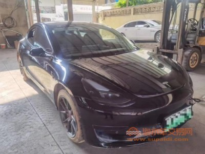 21年特斯拉MODEL 3中型车