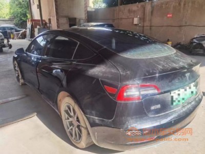 21年特斯拉MODEL 3中型车
