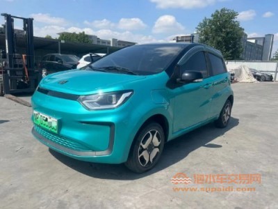 21年思皓花仙子中型车