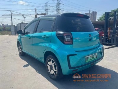 21年思皓花仙子中型车
