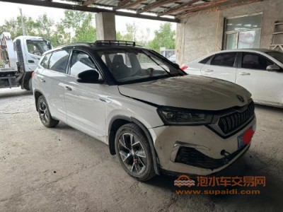 20年斯柯达柯米克中型车