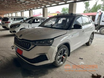 20年斯柯达柯米克中型车