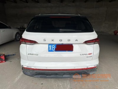 20年斯柯达柯米克中型车