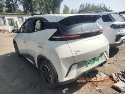 23年比亚迪海鸥SUV