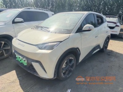 23年比亚迪海鸥SUV