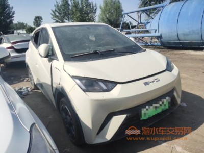 23年比亚迪海鸥SUV
