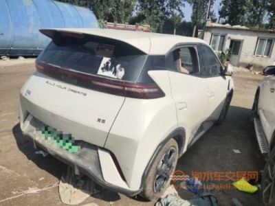 23年比亚迪海鸥SUV