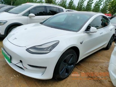 19年特斯拉MODEL 3中型车