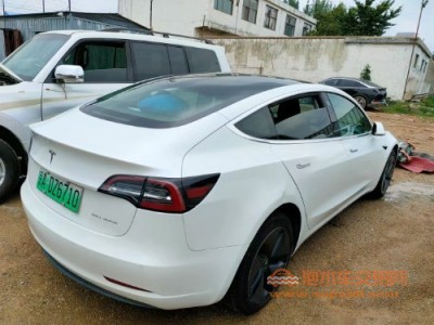 19年特斯拉MODEL 3中型车