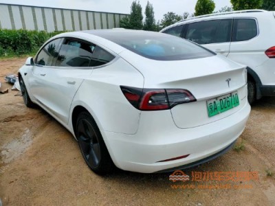 19年特斯拉MODEL 3中型车