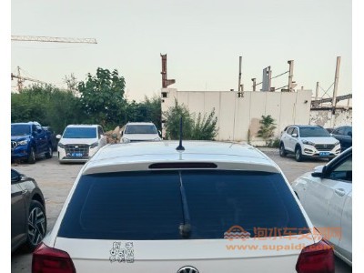 20年大众POLO中型车