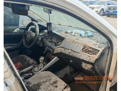 20年大众POLO中型车