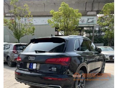 20年奥迪奥迪Q5LSUV