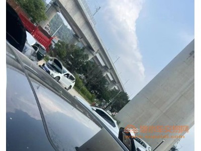 20年奥迪奥迪Q5LSUV
