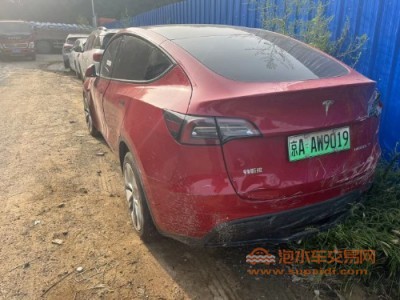 22年特斯拉MODEL Y中型车