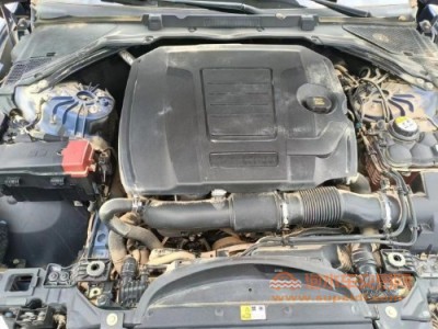 19年捷豹捷豹XEL中型车