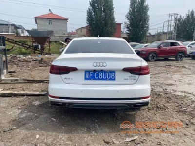 18年奥迪奥迪A4中型车