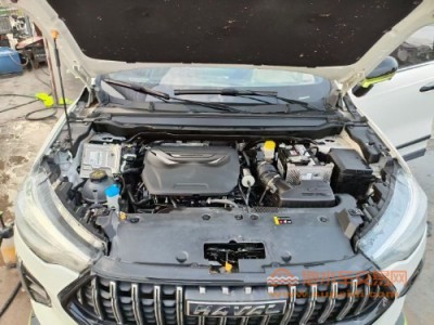 22年哈弗哈弗赤兔SUV