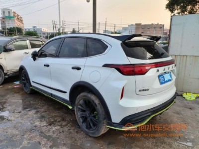 22年哈弗哈弗赤兔SUV